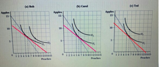 (a) Bob (b) Carol (e) Ted Apples 15- Apples Apples 15 15 10- 10- 10 U2 1011 121314 15 4567891011 12131415 1234 19 1011 1213 1