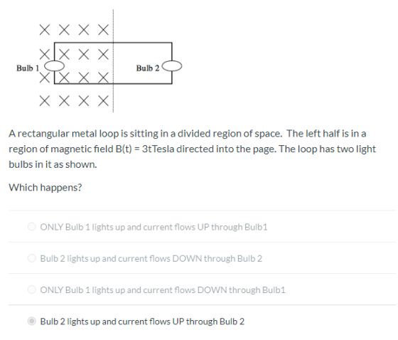 X X X X Bulb 2 XIX X X Bulb 1 XX X X X X X X A rectangular metal loop is sitting in a divided region of space. The left half