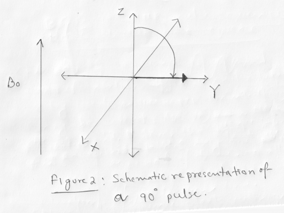 Bo Figure 2: Schematic representation of - a 90° pulse.
