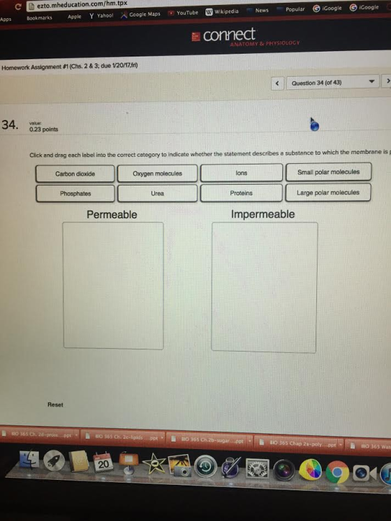 Click and drag each label into the correct categor