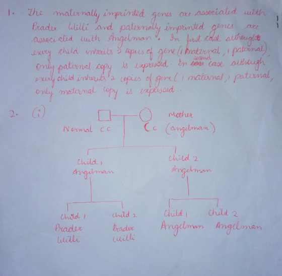 Prader Willi avd pale is pre tomal ning child İmho a epies 2 C mother cumgiimam chitd 2 hld itelld Child Child 2 ulidli urill