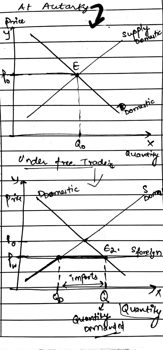 supranestic At Autarty Price Ч arty? E to Domestic Q. x Quanti Under free Traders trily # is Prie Domestic to Ege Sforeign st