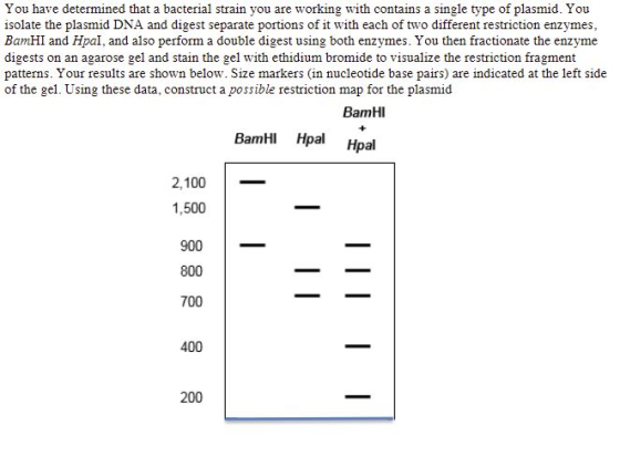 You have determined that a bacterial strain you are working with contains a single type of plasmid. You isolate the plasmid D
