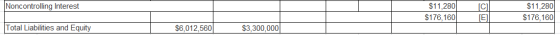 Noncontrolling Interest $11,280 $176,160 C E $11,2801 $176,160 Total Liabilities and Equity $6,012,5601 $3,300,000