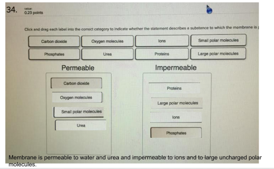 velue 0.23 points Click and dreg each label into the correct cetegory to indicate whether the statement describes a substance