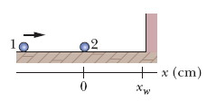 9 x (cm)