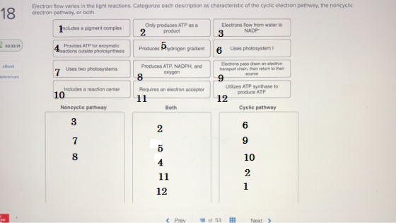 18 Electron flow varies in the light reactions. Categorize each description as characteristic of the cyclic electron pathway,