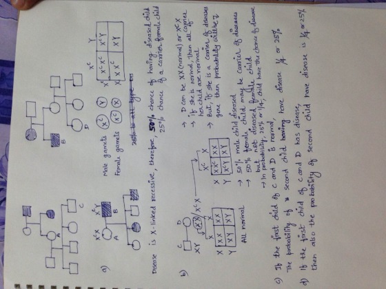 Male gamets G is x-linked recessive, there pre 50% chance ob haong daaaldad 25% chance ga cassie-tarul, child se → 1トShe is n