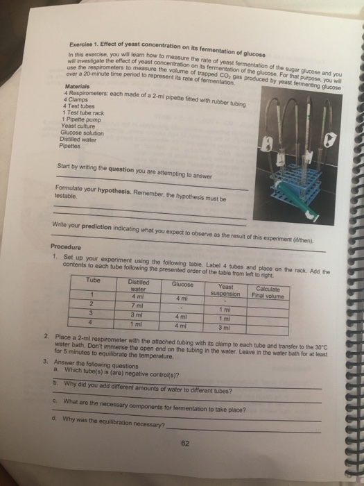 1. Effect of yeast concentration on its fermentation of ou will learn how to measure the rate of yeast fermentation of the su
