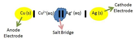 celldiagram.jpg