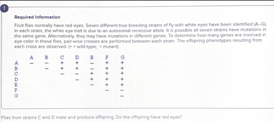 ! Required information Fruit flies normally have red eyes. Seven different true-breeding strains of fly with white eyes have