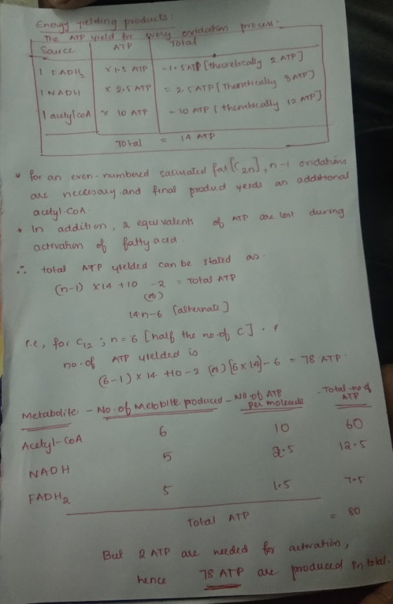 process Energy yielding products, The ATP yield for every oxidation Source ATP Total I I FADH, X1.5 ATP x 2.5 ATP IINADH -1.5