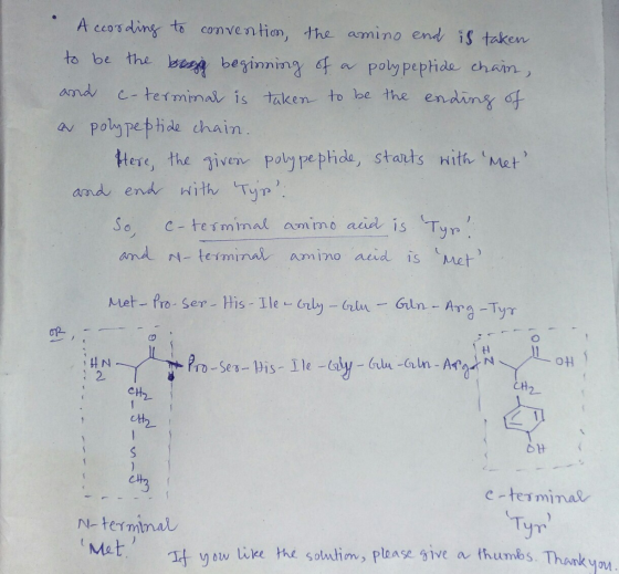 c- According to convention, the amino end is taken to be the besig beginning of a polypeptide chain, and -terminal is taken t
