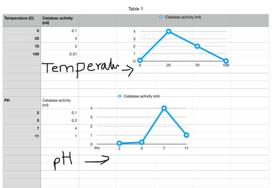 Table 1 Catalase activity (ml) Catalase activity (ml) Temperature (C) 4 0.1 4 25 2 2 70 1 0.01 100 100 Temperah 70 25 O Catal