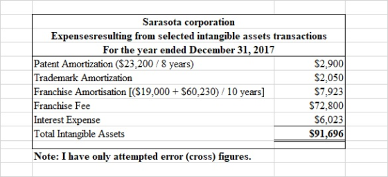 Sarasota corporation Expensesresulting from selected intangible assets transactions For the year ended December 31, 2017 Pate