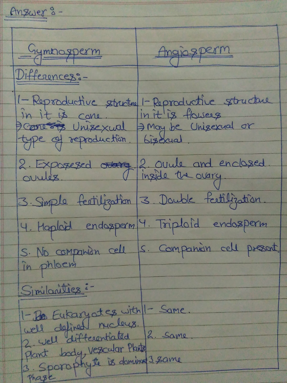 ma erm An Esn Differances duchve pe endozper in phlaen is daminet 3.game Sporoph Phaze