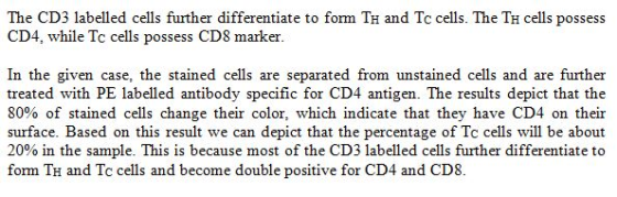 The CD3 labelled cells further differentiate to form TH and Tc cells. The TH cells possess CD4, while Tc cells possess CD8 ma