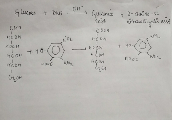 + 3- дий ло - - nitrosalicylic aud . . .. ри, Glucose + DNS - G oric acid СНО сори цсон NOL исон И ОСИ Т. НО носи нс би кон H