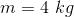 m = 4 \ kg