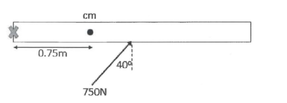 cm 0.75m 404 750N
