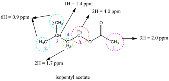 1H= 1.4 ppm
2H = 4.0 ppm
6H = 0.9 ppm
i H2
CH4C
3H = 2.0 ppm
Hac? 3
CH3
2H = 1.7 ppm
isopentyl acetate