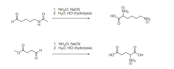 1. NH4CI, NaCN O 2. H20, HCI (hydrolysis) NH3 но. NH3 1. NH4CI, NaCN 2. H20, HCI (hydrolysis) C) HO OH NH3