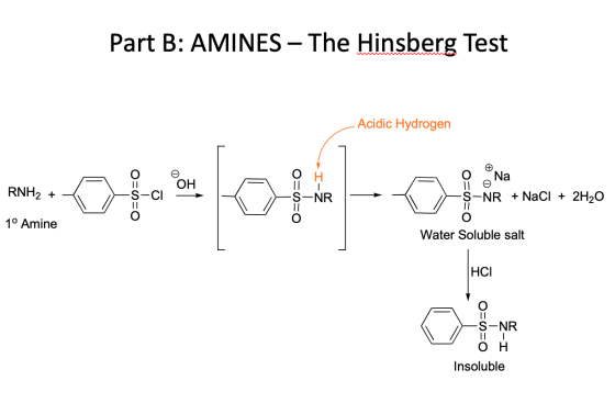 Part B: AMINES – The Hinsberg Test - Acidic Hydrogen O Η O Na RNH+ RNH2 + -š-cı OH S-CI -In O=o=o S-NR -S-NR + NaCl + 2H2O =O