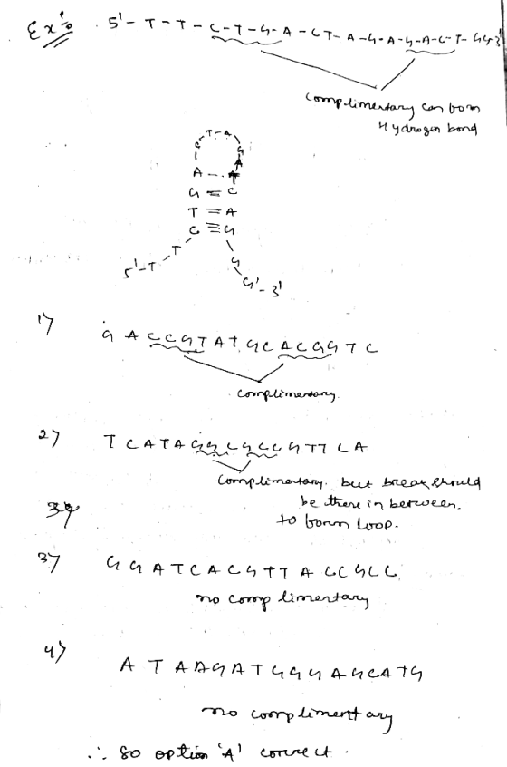 . 5- Т - Т- С-1 – 4-д - CT- д -4-A-4--- Т- ит? complimentary can tom - Hydrogen bond 1 SEN, . г. тассат At at Ac441 complime