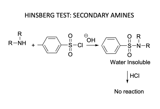 HINSBERG TEST: SECONDARY AMINES =O OR R-NH O=D + S-N-R -Z O=O = O Water Insoluble HCI No reaction