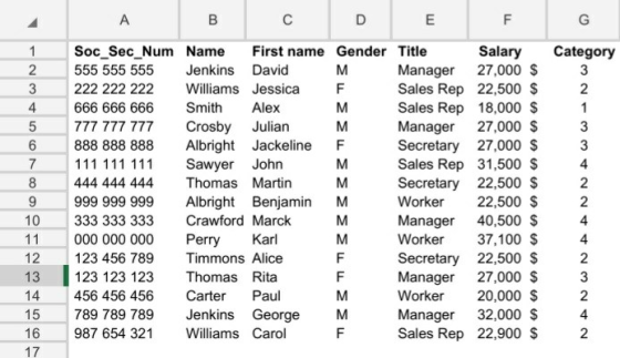 B DE Category M DOWN- Soc_Sec_Num Name First name Gender Title Salary 555 555 555 Jenkins David Manager 27,000 $ 222 222 222