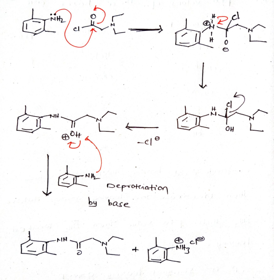 Nth HH OH N Deprotiation by base MH N