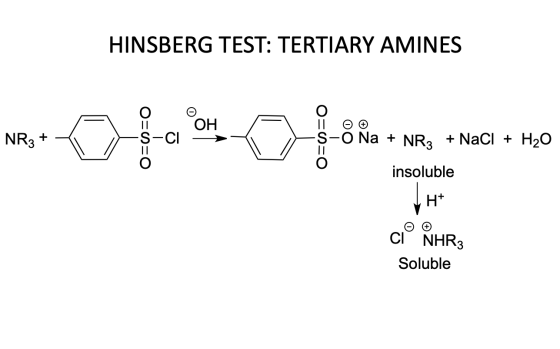 HINSBERG TEST: TERTIARY AMINES NR3 + - Nos of a sort of ora u wes • Rai = 40 o==o S-O Na + NR + NaCl + H2O insoluble H+ CINHR