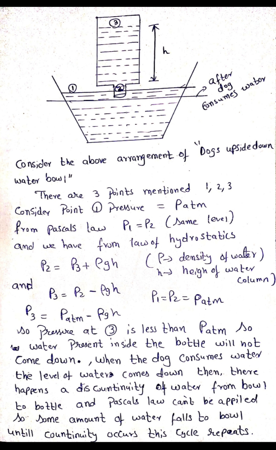 h after dog Consumes waber Consider the above arrangement of Dogs upside down water bow! There are 3 points mentioned 1, 2,