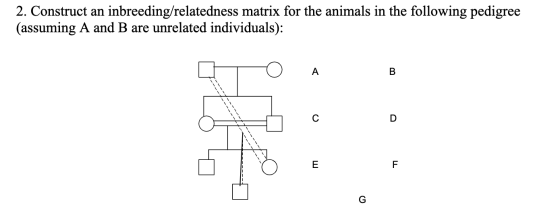 2. Construct an inbreeding/relatedness matrix for the animals in the following pedigree (assuming A and B are unrelated indiv