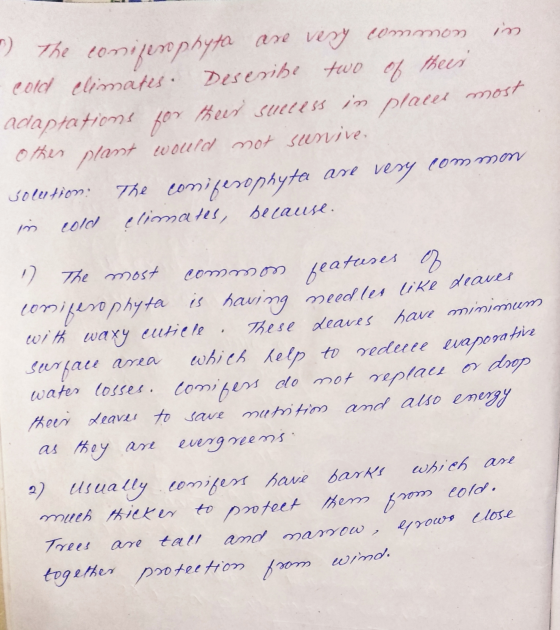 ) The conijenophyth are very common in -cold climates. Describe two of their adaptations for their success in placer most O