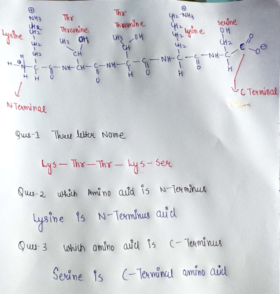 Thr The H2-NH2 £ Threonine 내3 얘 The reonine tip OH the lysine seline OH CH2 CH 5-5-3 I-U- CH ç - -NH-C- -6 - -NH- C JED NH-CH