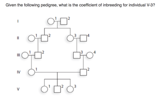 Given the following pedigree, what is the coefficient of inbreeding for individual V-3? - OD 0 0 0 0 = 2 >