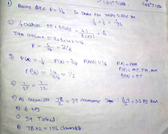 Lost T cell. Rayims dike Corticels. P=36 In Snake eye rohins 2 ore be 2 4 children 20429nS =41 txt = 20 Tiha outlme a 2x2x242