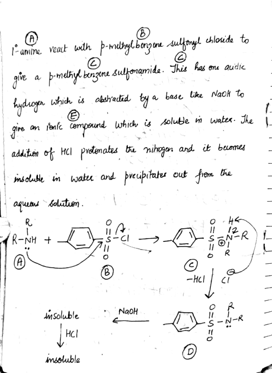 i L-amine veact with þ-melhylbenzene sulfonyl chloxide to give a p-melħyl benzene sulfonamide. This has one auidic hydrogen w