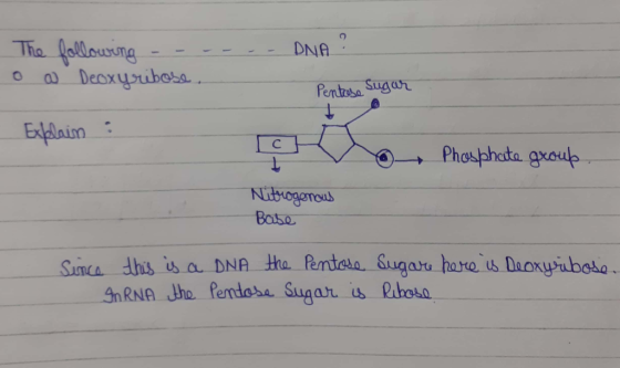 The following ------ DNA o a Deoxyribose. Pentase Sugar - Explain : cKeo Phosphate group Nitrogenous Base Since this is a DNA