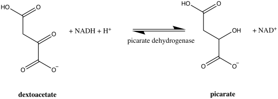 НО, o НО 0 + NADH + H+ LOH + NAD+ picarate dehydrogenase 6/ 0 dextoacetate picarate