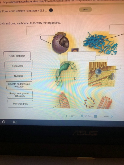 https://newconnect.mheducation.com/flow/connect.html/returnur A PRILIE ar Form and Function Homework (3.1-... i Click and dra