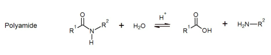 H Polyamide WR + H2O = N + H2N-R? R Z ROH - I