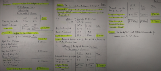 Solation Requirement i Compute a monthly Sales budget in $ for February Pes Enterprises (PS2) Sales Budget for the month of F