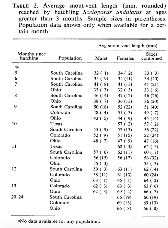 TABLE 2. Average snout-vent length (mm, rounded) reached by hatchling Sceloporus undulatus at ages greater than 3 months. Sam