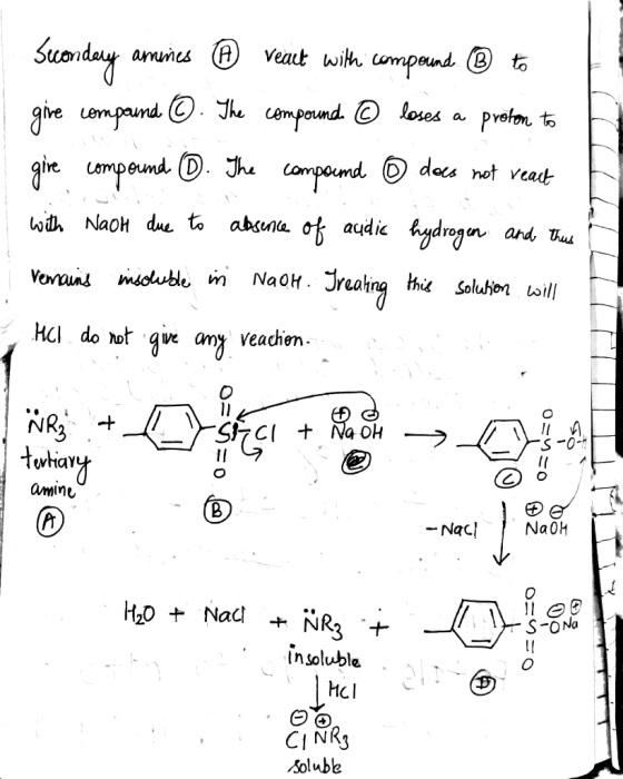 Secondary amines © react with compound Ⓡ to gire compound ©. The compound. © loses a proton to gire compound (D. The compound