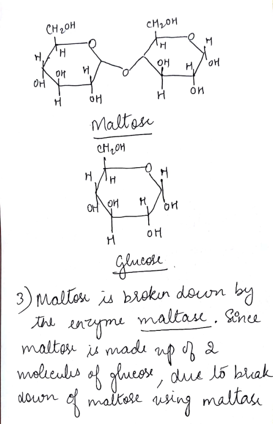 СНгон OH OHl 9) Mallo is blokn don b nei