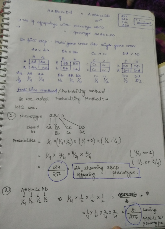 Aa Bb C o Dd x AaBbce DD B> 11 Dominat δη the phenotype aBCD Genotype AA Bb CC DD So to t step. Multi gene croce into singl