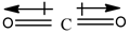내생