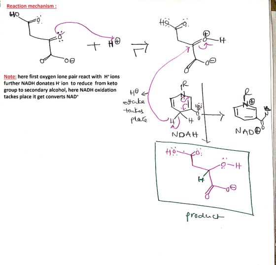 Reaction mechanism : Hozo H + HO = TI pa oe o a Note: here first oxygen lone pair react with Htions further NADH donates Hion